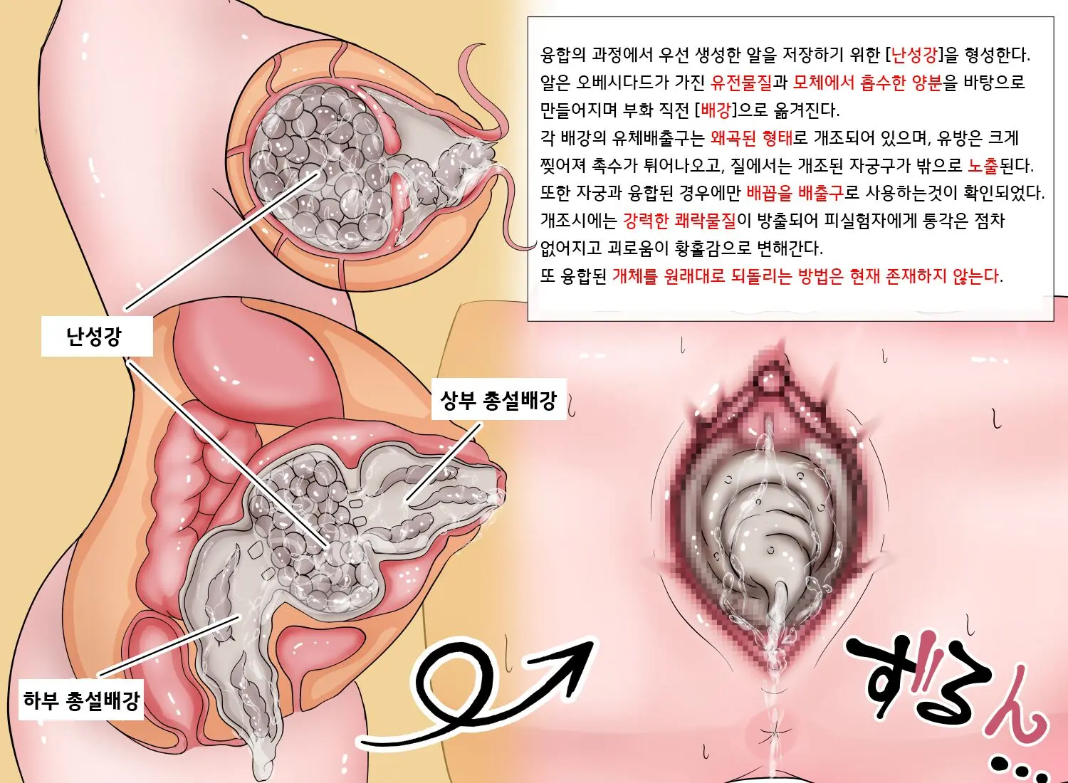 벌레연구보고서 EX 1~3 | Mushi Research Report EX 1~3